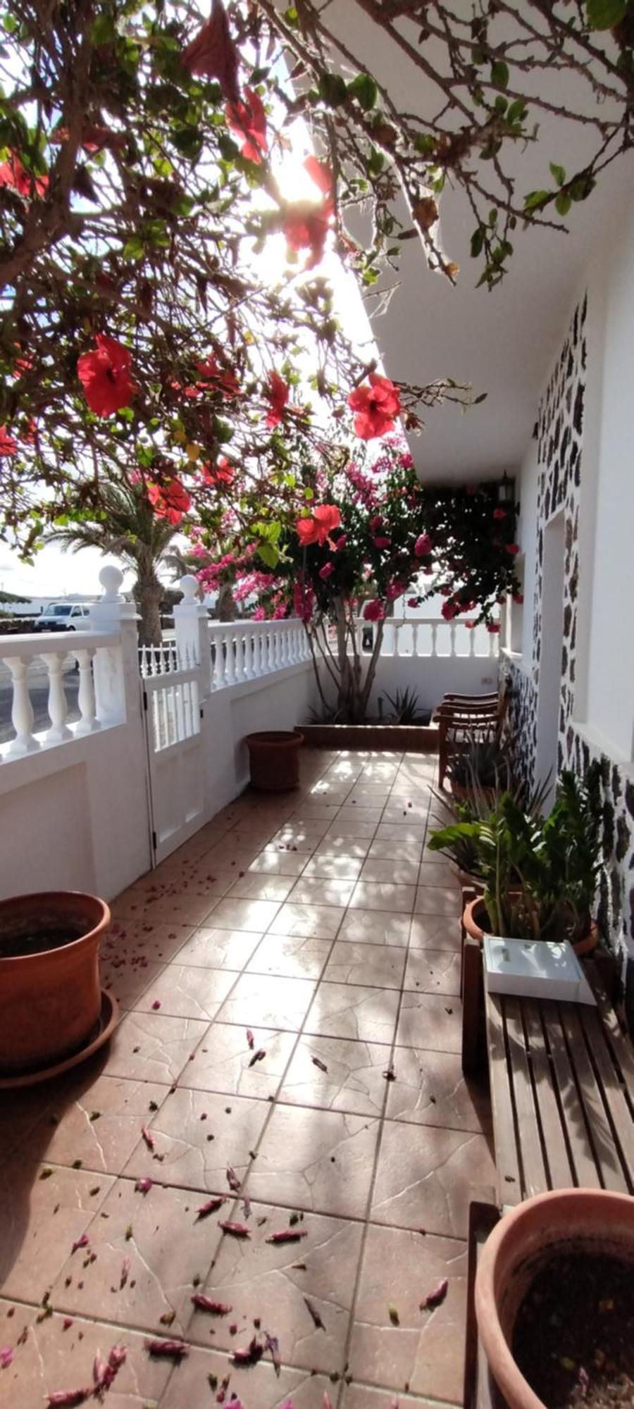 Casa M & A Villa La Oliva Exterior photo